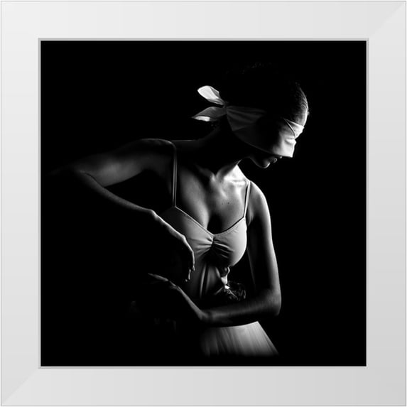 Medeiros, Paulo 26x26 White Modern Wood Framed Museum Art Print Titled - N-T