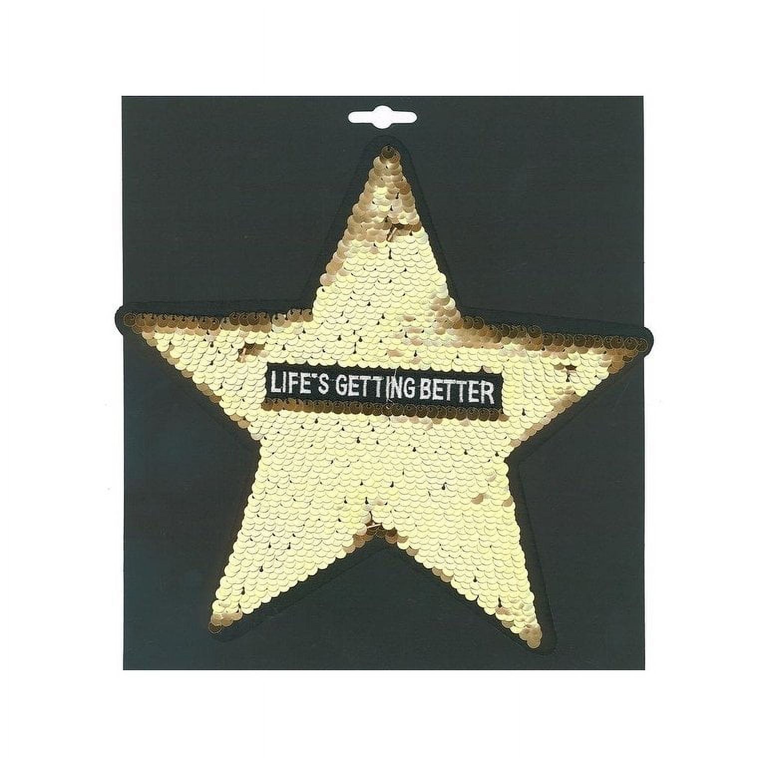 Mediac Applique Iron On XL Sequin Life/Betr Gd 2pc