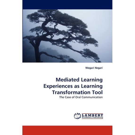 Mediated Learning Experiences as Learning Transformation Tool, (Paperback)