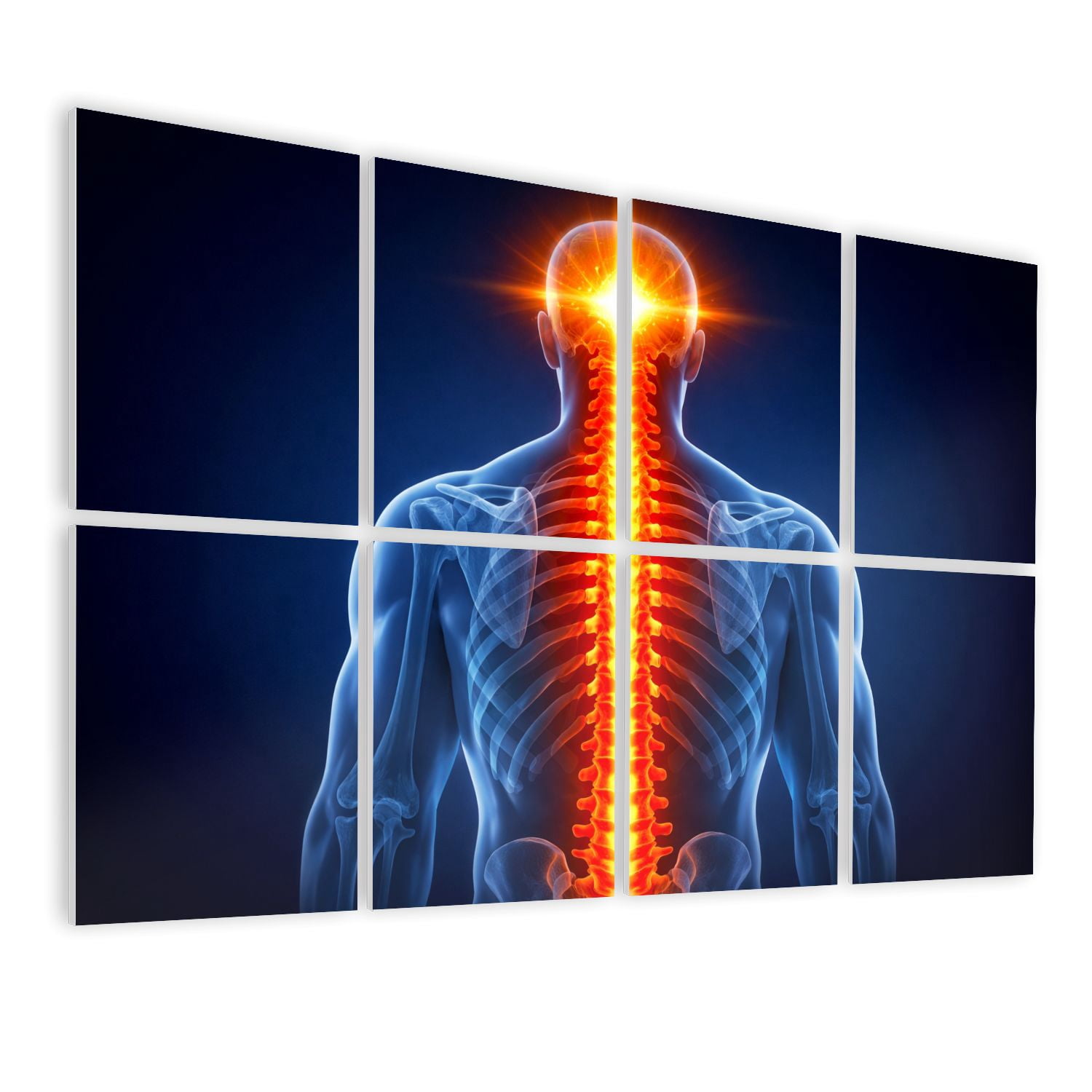 Medical 8 Pack Art Acoustic Panels Sound Absorbing Glowing Human Spine Anatomy Radiant Nervous System Skeletal Structure Decorative Soundproof Wall Panels Self Adhesive for Classroom Hospital 48"x32"