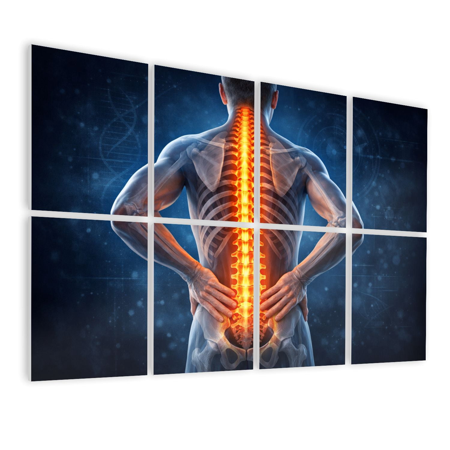 Medical 8 Pack Art Acoustic Panels Sound Absorbing Human Spine Anatomy Glowing Vertebrae Medical Decorative Soundproof Wall Panels Self Adhesive for Classroom Hospital 48"x32"
