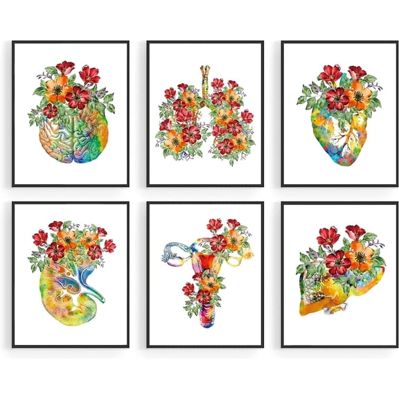 Medical Anatomical Canvas Wall Art Set 6 - Watercolor Floral Anatomy Posters - Human Physiology Art Poster - Science Art Doctor Office Decor,Medical Theme Decor Wall Pictures Gift (8x10) Unframed