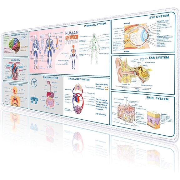 Medical Large Mouse Pad, Human Anatomy XXL Desk Mat, 35.4"x15.7", Anatomy and Physiology Study Tools, Employee Appreciation Gifts for Coworkers Doctor Medical Assistant College Nursing Student