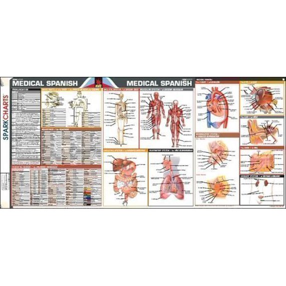 Pre-Owned Medical Spanish SparkCharts Paperback