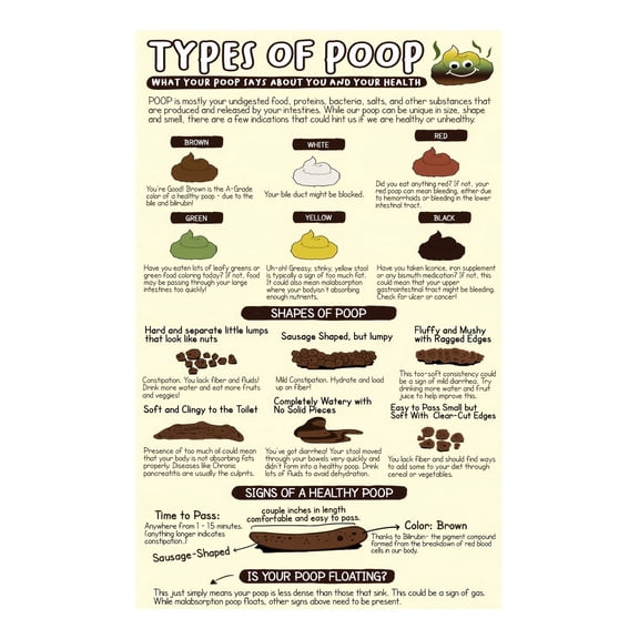 Medical Stool Chart Poster Bristol Stool Form Scale Laminated Gastroenterology Reference for Healthcare Professionals and Clinic Decor