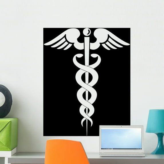 Medical Symbol Wall Mural Decal by Wallmonkeys Vinyl Peel and Stick Graphic (24 in H x 19 in W)
