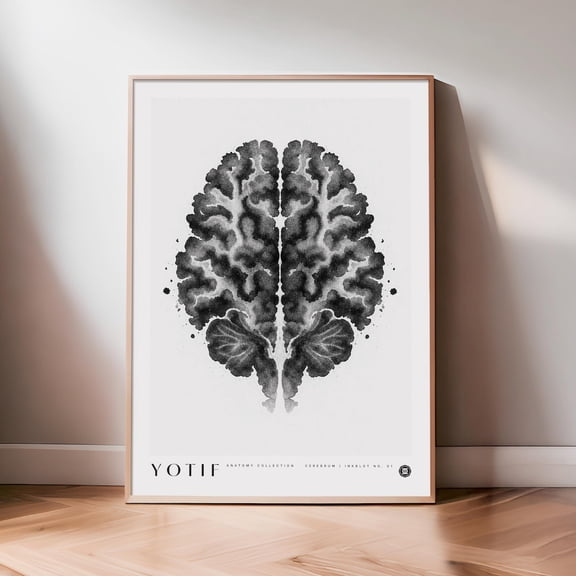Medical Wall Art Neurology Decor Doctor