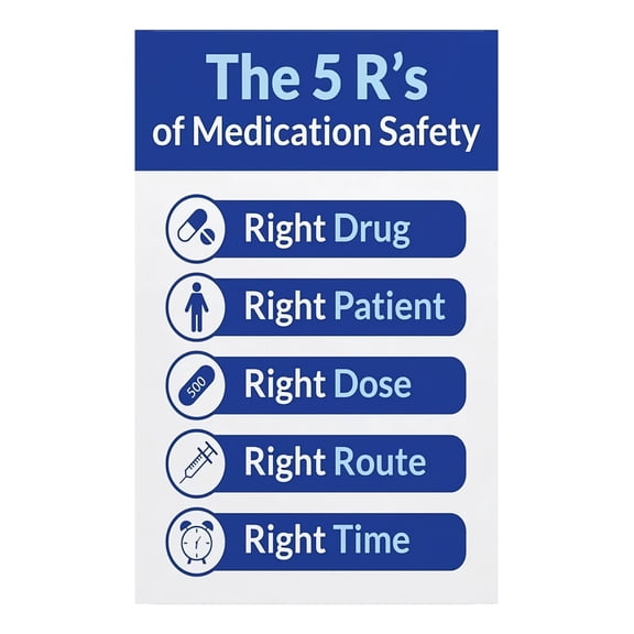 Medication Administration 5 Rights Poster Nursing Education Patient Safety Chart for Clinical Training Room Wall Art Reference