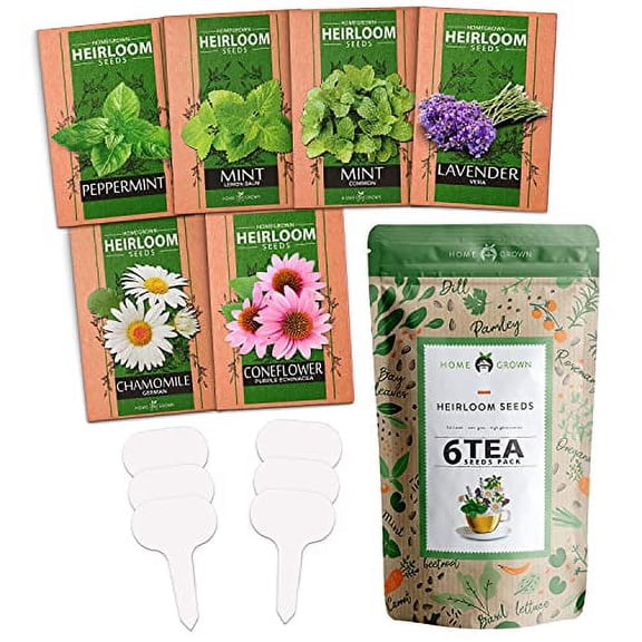 Medicinal Herb Seeds Collection | 6 Heirloom Tea Seeds | Non GMO Lavender, Chamomile, Mint Seeds for Planting Outdoors & Indoors - Lemon Balm, Peppermint, Echinacea | Gardening Gifts for Women & Men