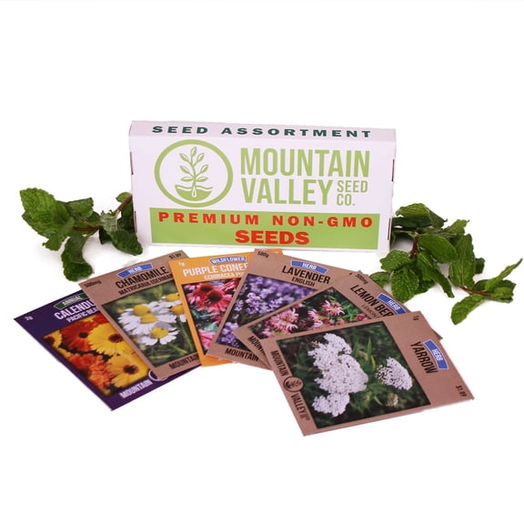 Medicinal & Herbal Tea Garden Seed Collection - Basic Assortment - 6 Non-GMO Herb Seed Packets: Chamomile, Lavender, Lemon Mint, Yarrow, Echinacea, More