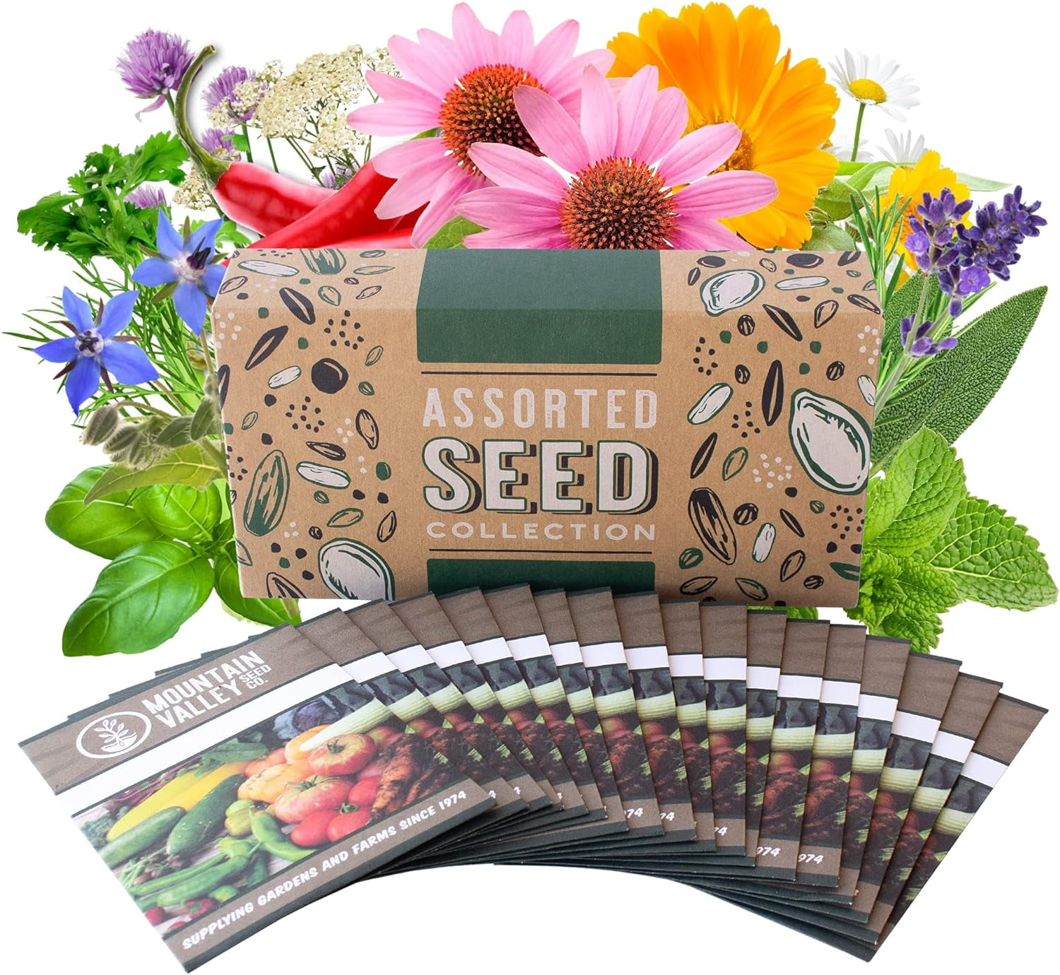 Medicinal & Herbal Tea Garden Seed Collection - Premium Assortment - 18 Non-GMO Herb Seed Packets: Angelica, Borage, Hot Pepper, Anise, Lavender, Peppermint, & More Medicinal & Herbal Tea Premium