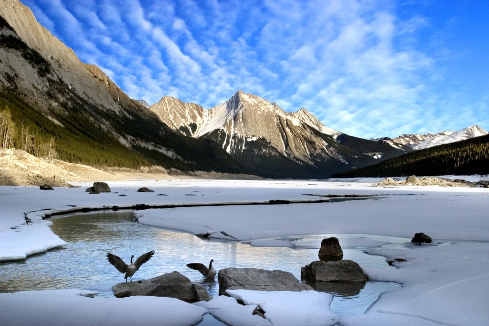 Medicine Lake Jasper National Park Alberta Canada Canvas Art - Richard Wear Design Pics (34 x 22)