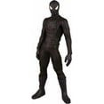 thumbnail image 1 of Medicom Toys Real Action Heroes Collectible Spider-Man Action Figures, Cloth Black, 12", 1 of 2