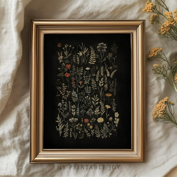 Medieval Garden Herb Illustration, Vintage Botanical Chart , Cottagecore Herbal Decor, Antique Plant Poster for Kitchen 340, Size 24x36 UNFFRAMED F03.1.7l1349