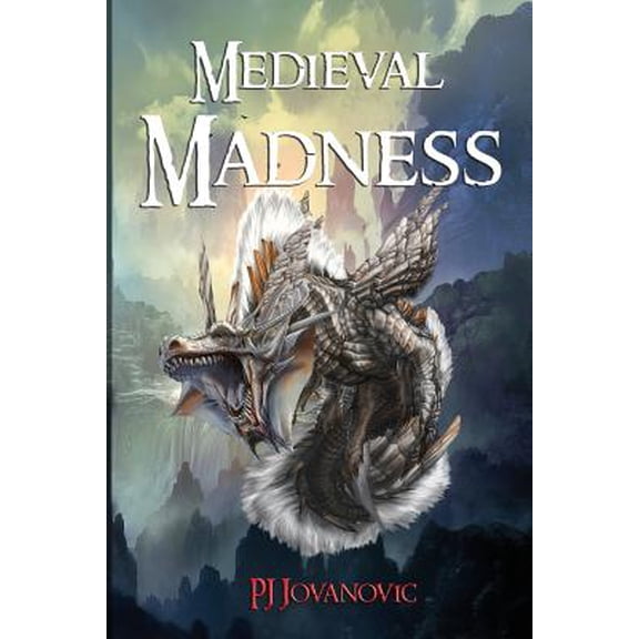 Pre-Owned Medieval Madness : A Fantasy Adventure Book for Kids and Teens Aged 9-15