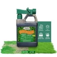 thumbnail image 1 of Medina Hasta Gro Lawn Food Fertilizer 12-4-8, Ready-to-Spray, 32 oz., 1 of 8