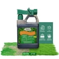 Medina HastaGro Liquid Lawn DHF10 Fertilizer 1248 Liquid Fertilizer