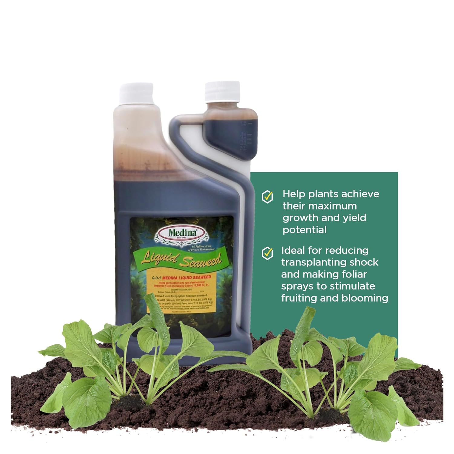 Medina Liquid Seaweed Fertilizer for Plants Concentrated Seaweed