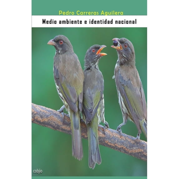 Medio ambiente e identidad nacional (Paperback)
