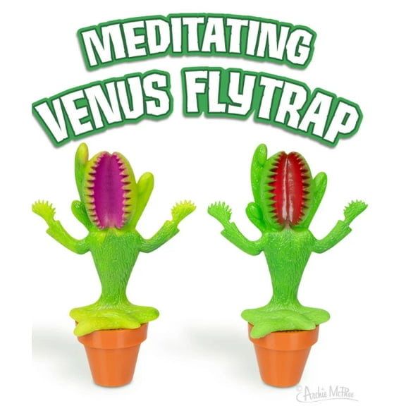 Meditating Venus Fly Trap - 1 Random Color Per Order
