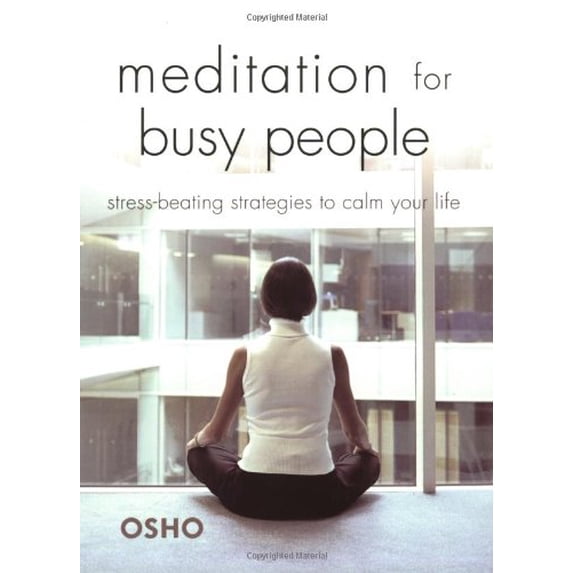 Pre-Owned Meditation for Busy People: Stress-beating Strategies to Calm Your Life (Paperback) 0312343027 9780312343026