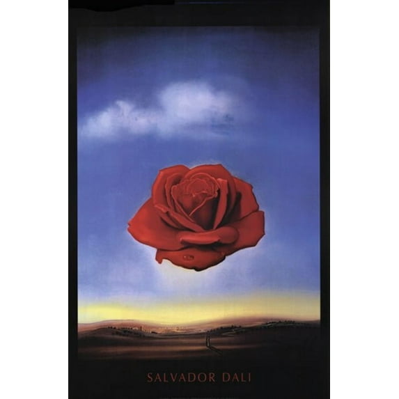 Meditative Rose, c.1958 Laminated Poster by Salvador Dali (24 x 36)