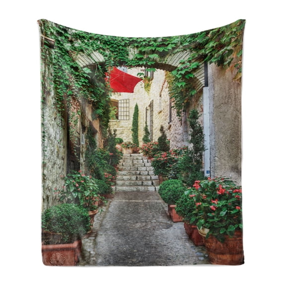 Mediterranean Soft Flannel Fleece Blanket, Narrow Street with Flowers Rural Wine Town in Southern France Provinces Photo, Cozy Plush for Indoor and Outdoor Use, 70" x 90", Grey Green, by Ambesonne