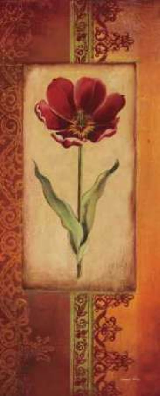 Mediterranean Tulip I Canvas Art - Kimberly Poloson (10 x 20)