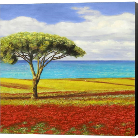 Mediterraneo I by Angelo Masera, Canvas Wall Art, 12W x 12H
