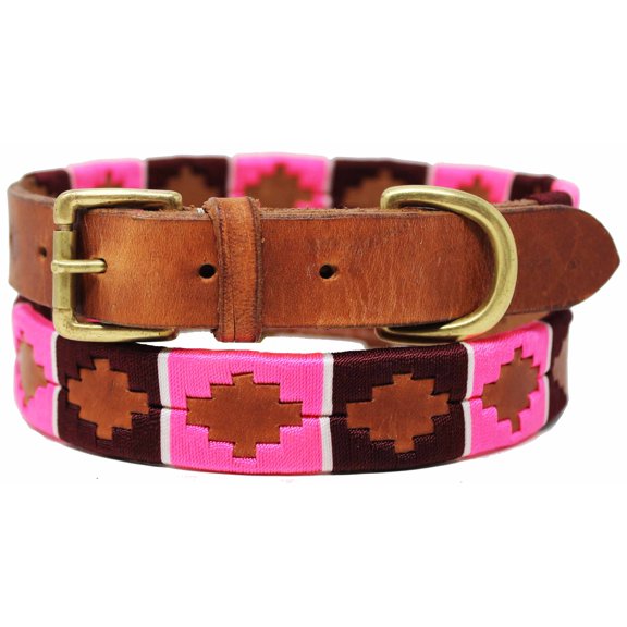 Medium 17''- 21'' Leather Argentine Polo Embroidered Dog Collar D Ring 60FH02TN