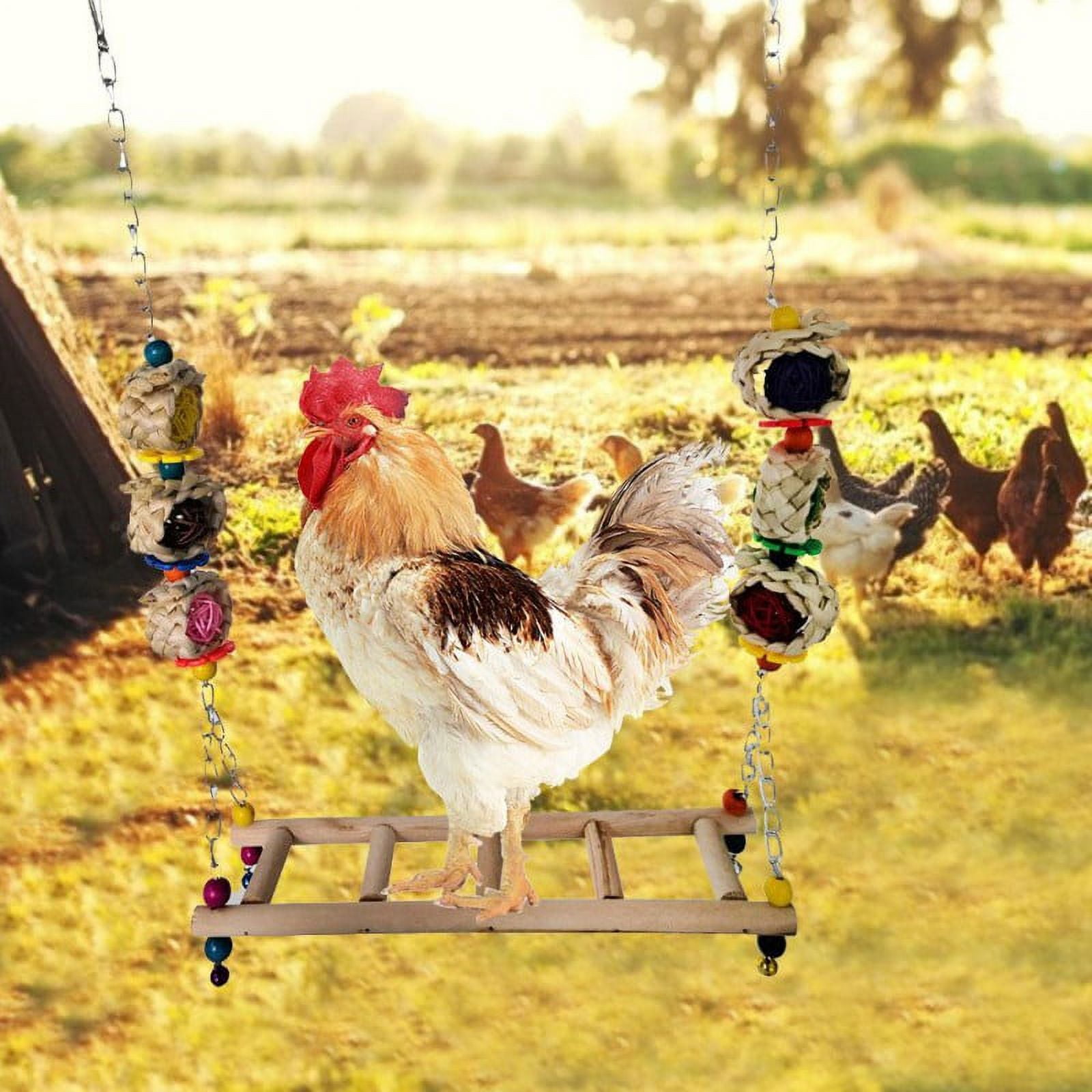 Medium And Large Parrot Swing For Suspension Bridge Ladder Chicken