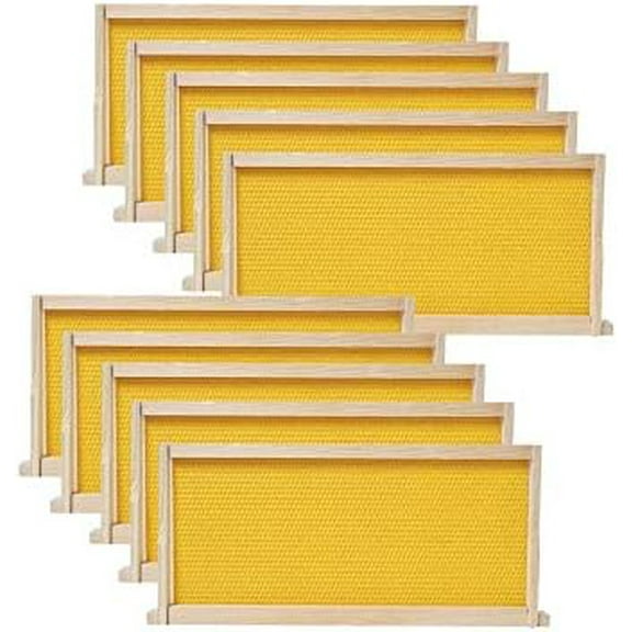 Medium Beehive Frames and Wax Foundations,10 Pack Honey Bee Frames with Wooden Bee Hive Frames and Beeswax Coated Foundations, 6-1/4-Inch (Yellow)$$Animal Other
