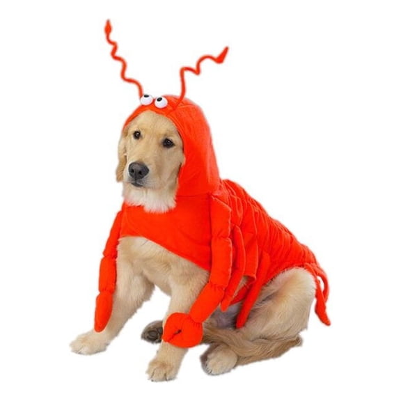 Medium Casual Canine Lobster Paws Red-Orange Dog Costume fits lengths up to 16"