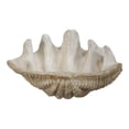thumbnail image 1 of Medium Clam Shell Accent - Natural, 1 of 2