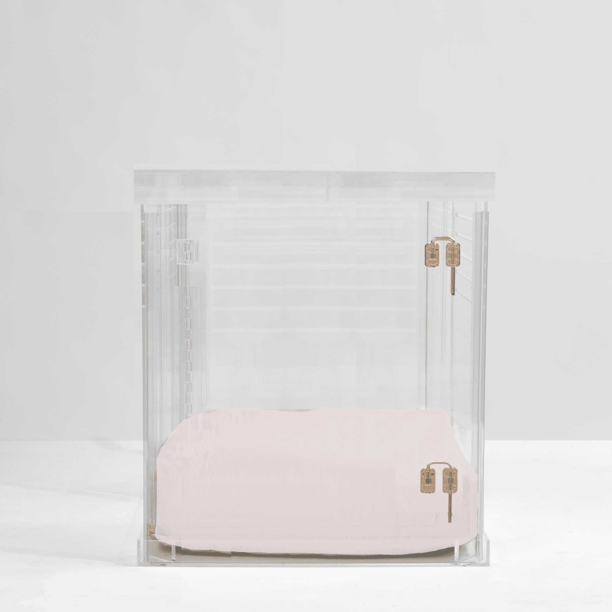 View of Medium Clear View Pet Crate with Gold Latch, Blush Cushion - Walmart.com