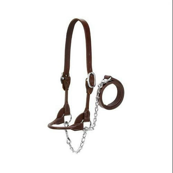 Medium Dairy/Beef Rounded Show Halter BR