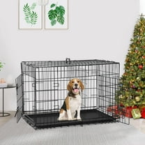 Blue Dog Crate | MidWest iCrate 24