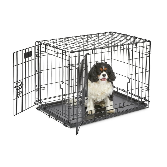 Medium Dog Crate | MidWest iCrate 30" Double Door Folding Metal Dog Crate | Divider Panel, Floor Protecting Feet & Dog Pan | 30L x 19W x 21H Inches, Medium Dog Breed