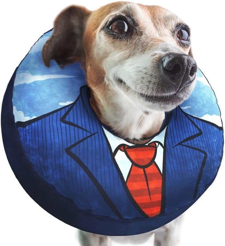 Medium Dog Donut Collar Inflatable Dog Cone Alternative For After