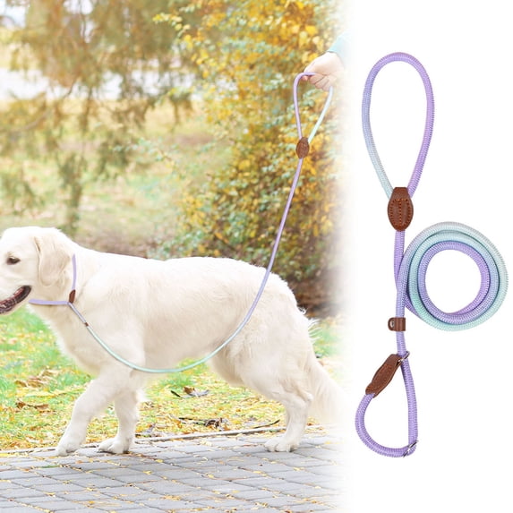 Medium Dog Harness with Rope Leash, Adjustable Nylon Traction Strap for Hiking 1 Pack, Durable Outdoor Walking Vest for Pets 0.3 Inch Thick