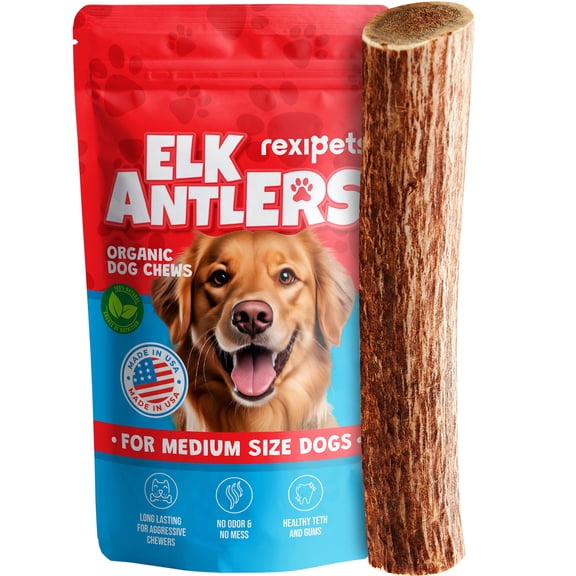 Medium Elk Antlers for Dogs - Dog Antler Chews for Medium Breeds - Natural, Long-Lasting Treats for Aggressive Chewers - Naturally Shed in USA…