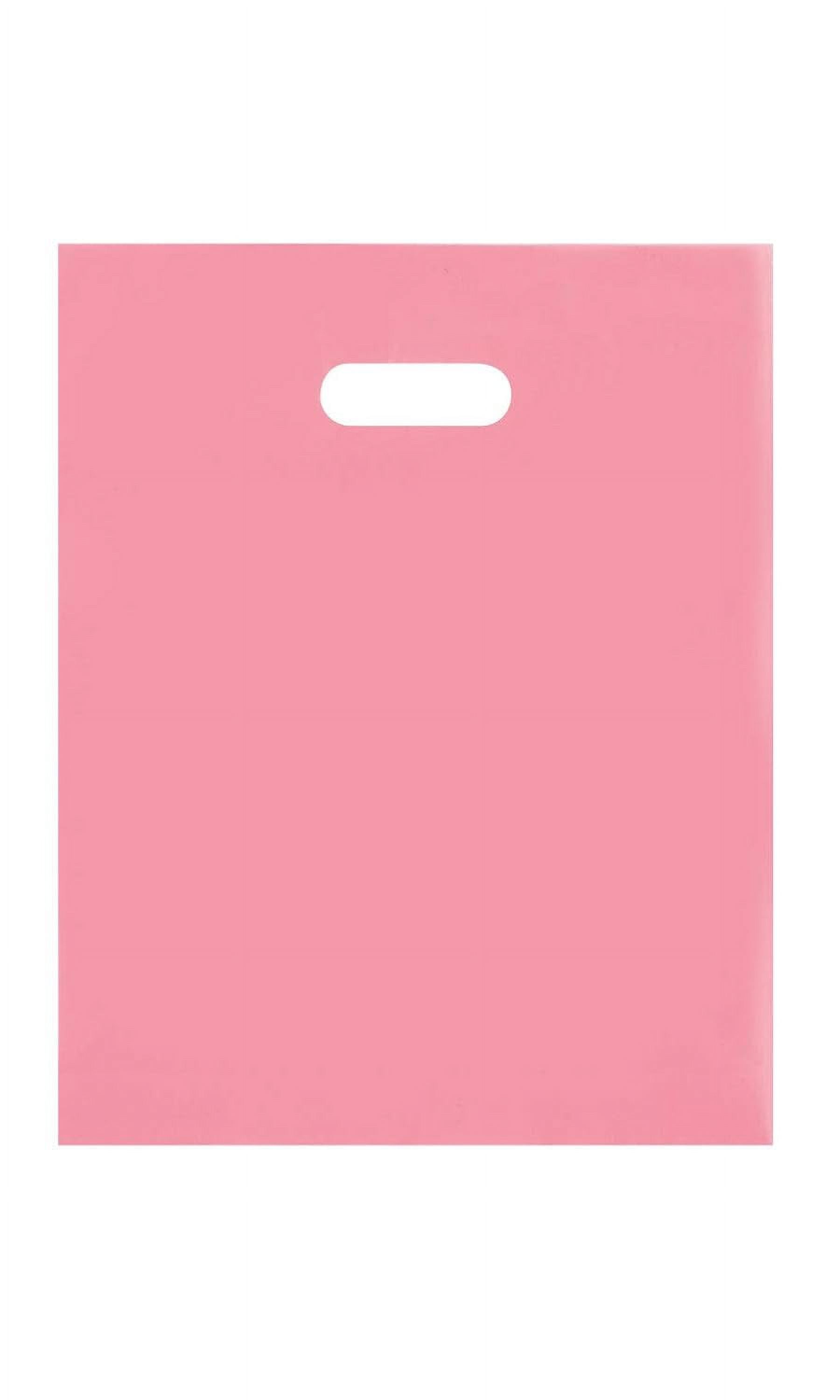 Medium Frosted Plastic Merchandise Bags - 12” X 15” - Case Of 250 