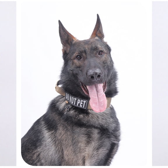 Medium Khaki Heavy-Duty Tactical Dog Collar with Buckle & Rivets, Durable Adjustable Pet Collar for Large Dogs, Ideal for Outdoor Training, Walking, Running & Anti-Pull Activities for Family Pets