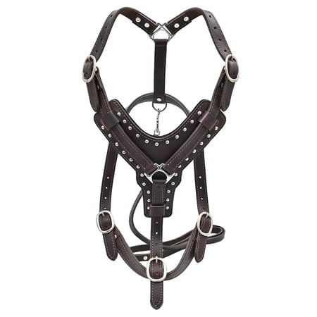 Medium Leather Dog Harness Brown Genuine With Leash Hilason