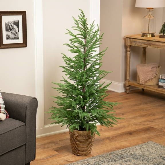 Northlight Medium Norfolk Pine Artificial Potted Christmas Tree - 4 - Unlit