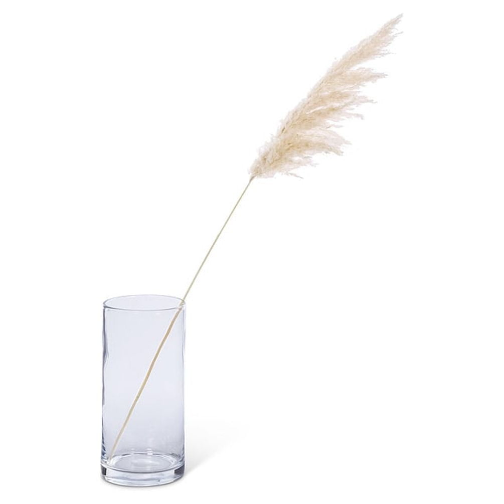 Medium Pampas Grass