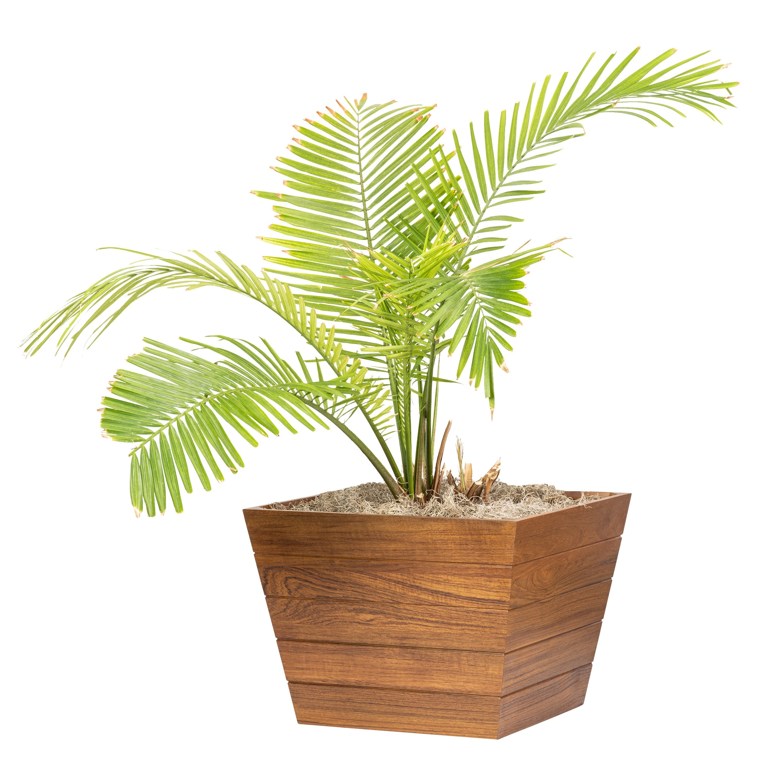 Medium Teak Planter Box - 19" W x 14" H x 19" D