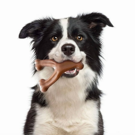 Medium Wishbone Dog Chew Toy for Dental Health, Durable Nylon Bone for Mid-Sized Dogs