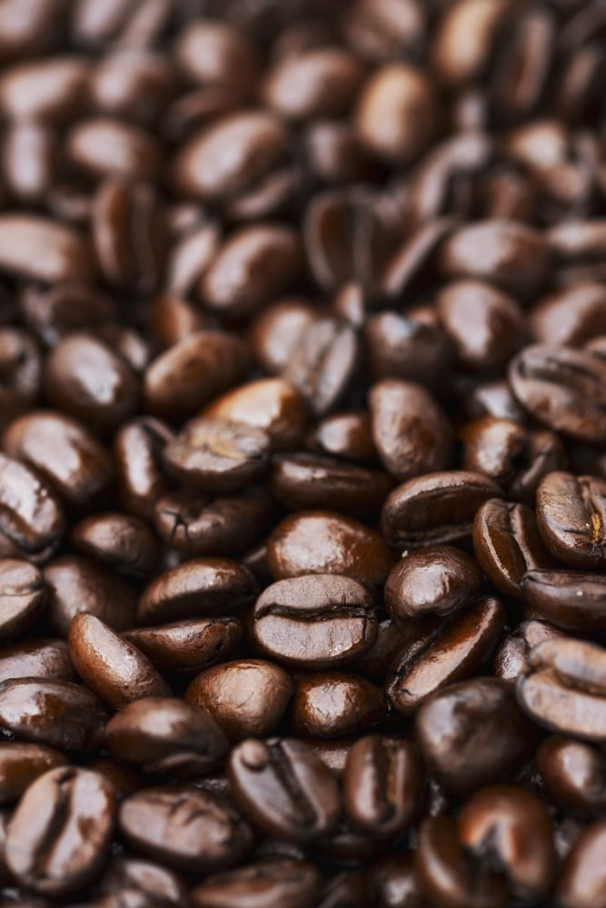 Medium dark roast Kona coffee beans close up Holualoa Big Island Hawaii United States of America Canvas Art - Philip Rosenberg Design Pics (12 x 18)