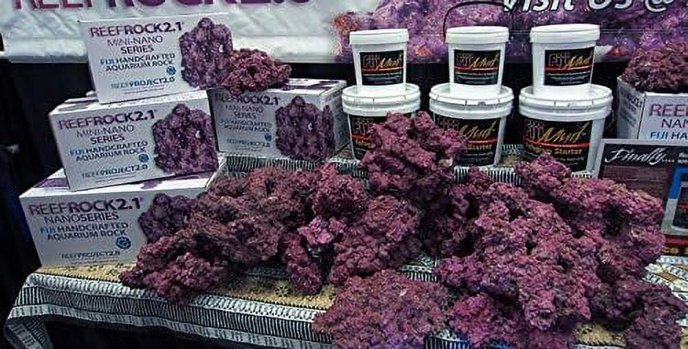 Medium to Large Rock, 55 lb